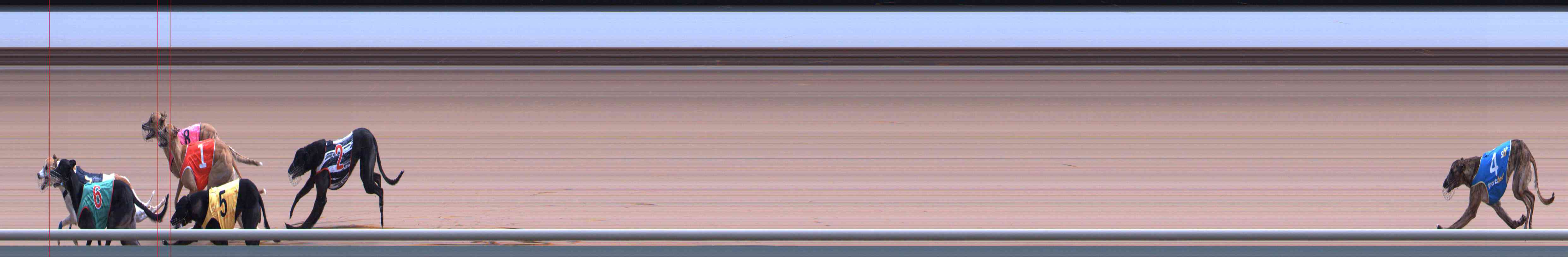 Photo finish for Healesville Race 6