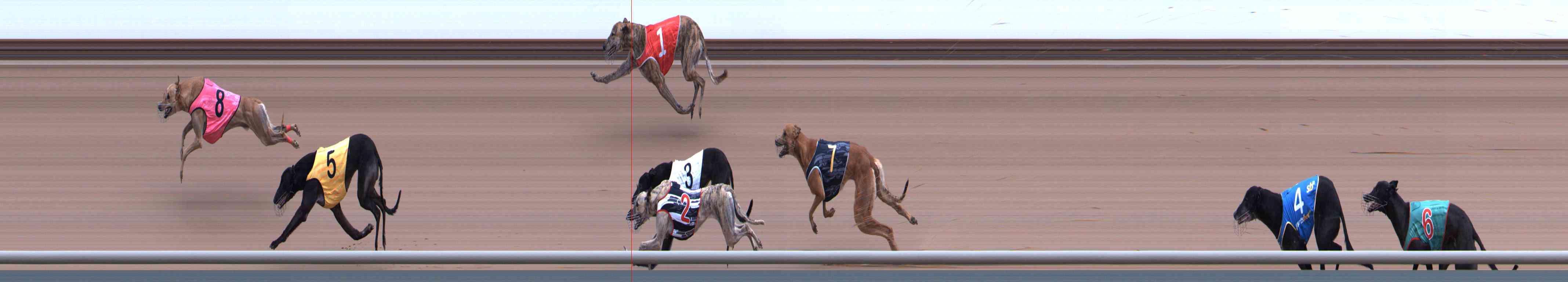 Photo finish for Healesville Race 7