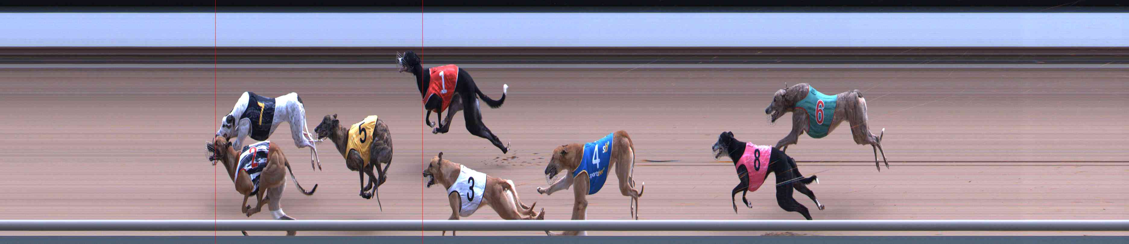 Photo finish for Healesville Race 8