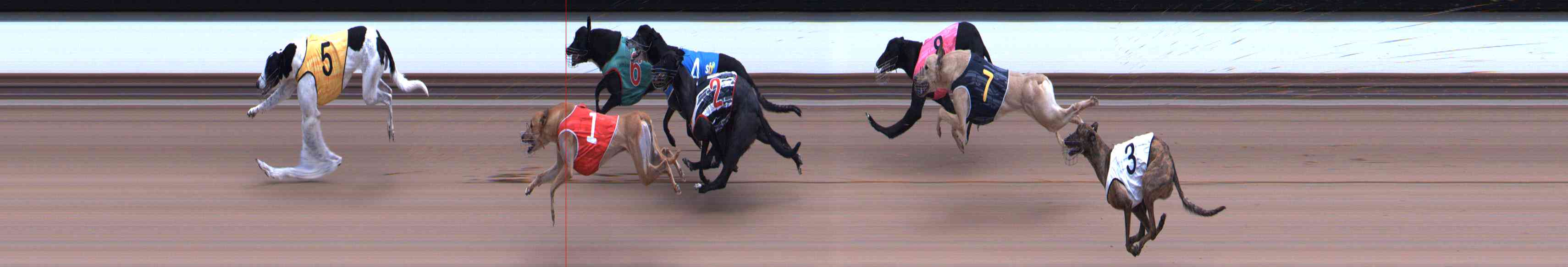 Photo finish for Healesville Race 10