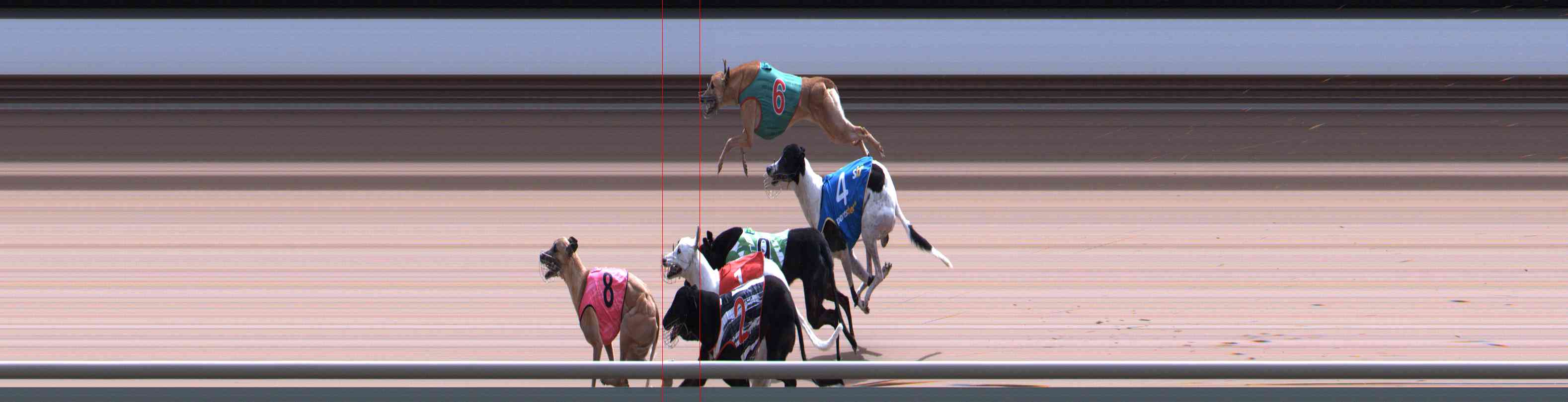 Photo finish for Healesville Race 11