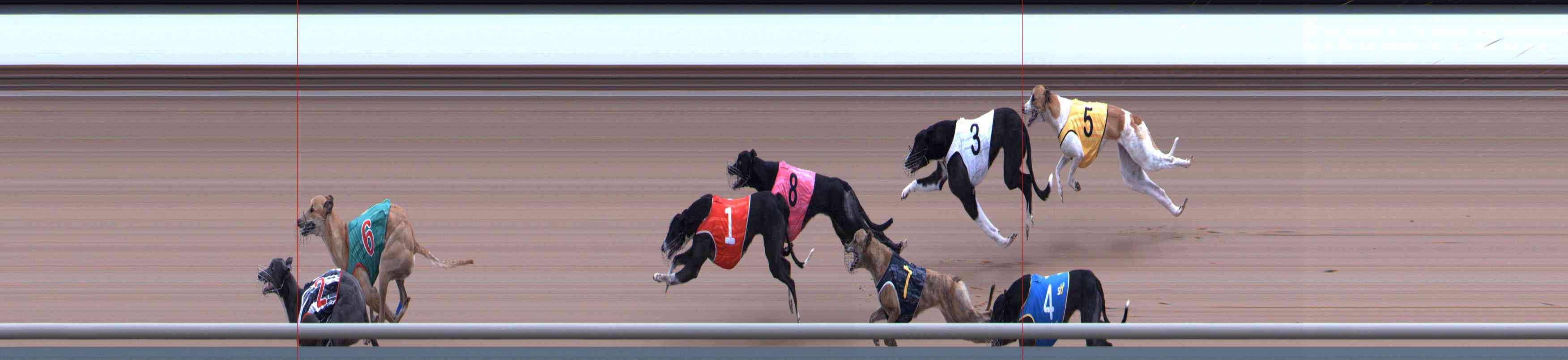 Photo finish for Healesville Race 12