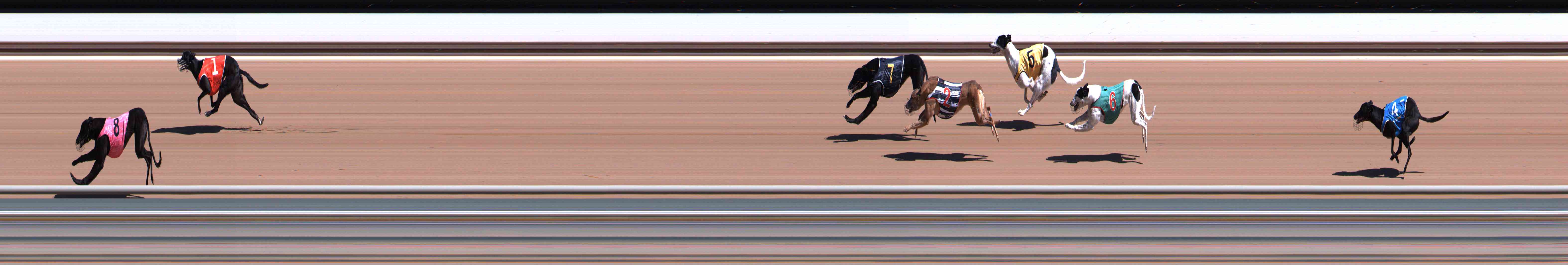 Photo finish for Healesville Race 1