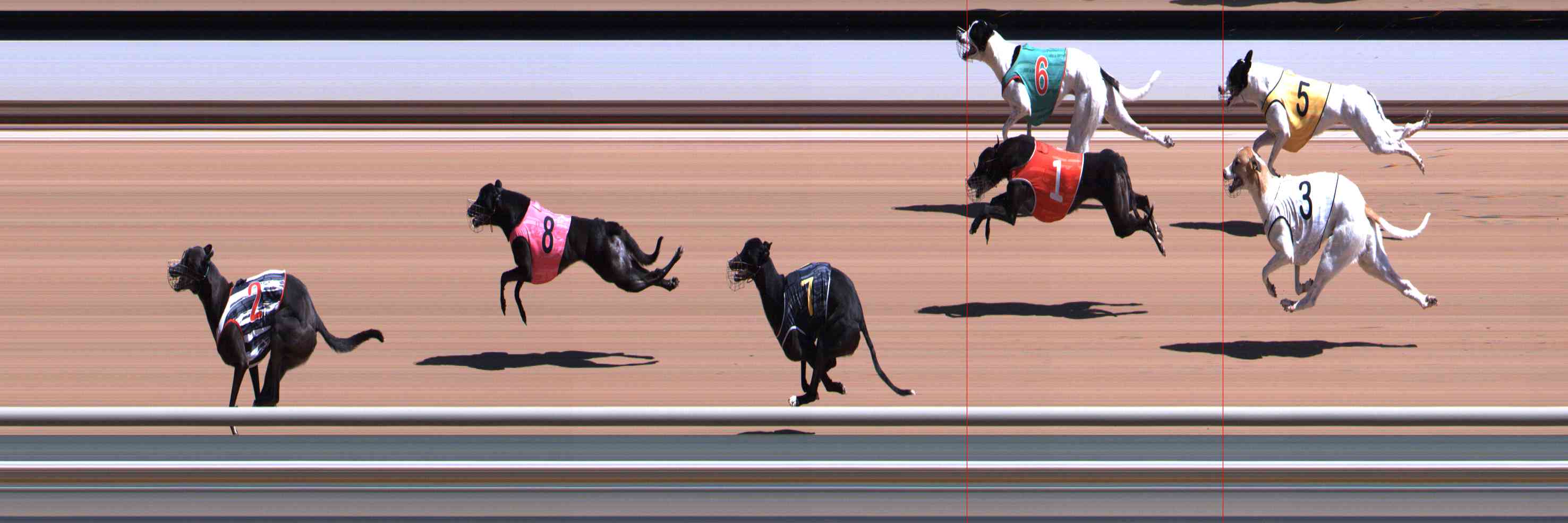Photo finish for Healesville Race 2