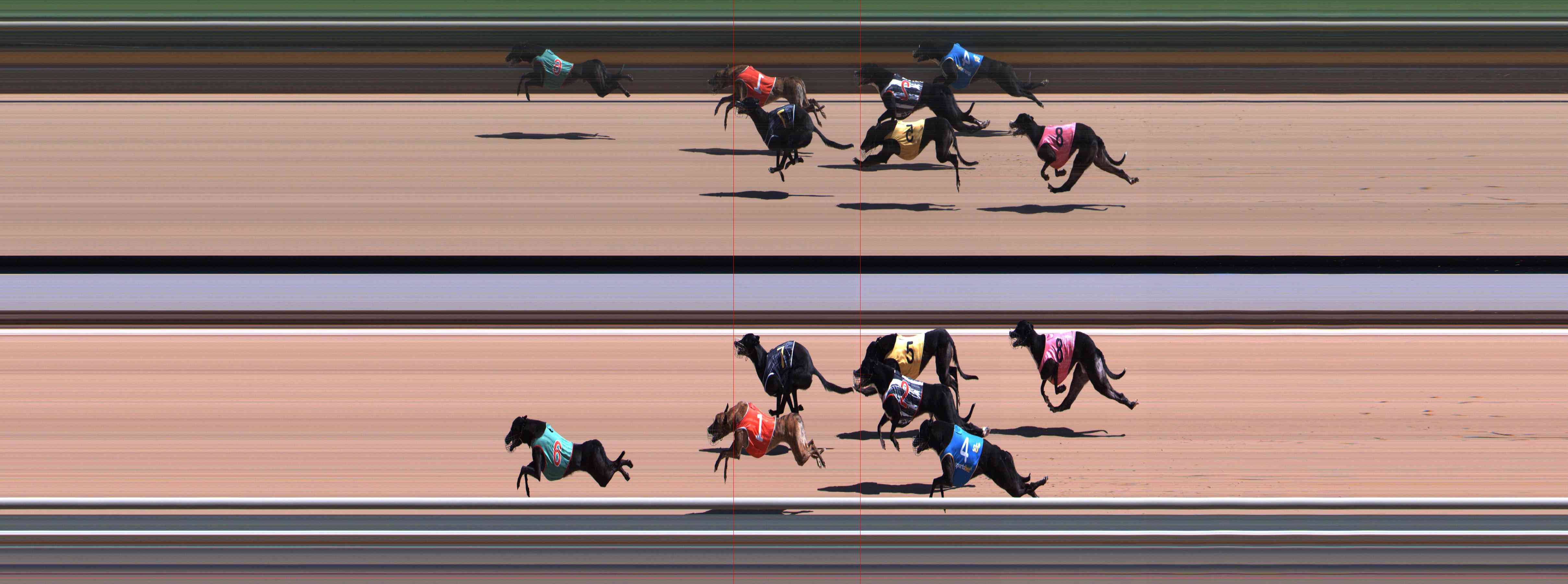 Photo finish for Healesville Race 3