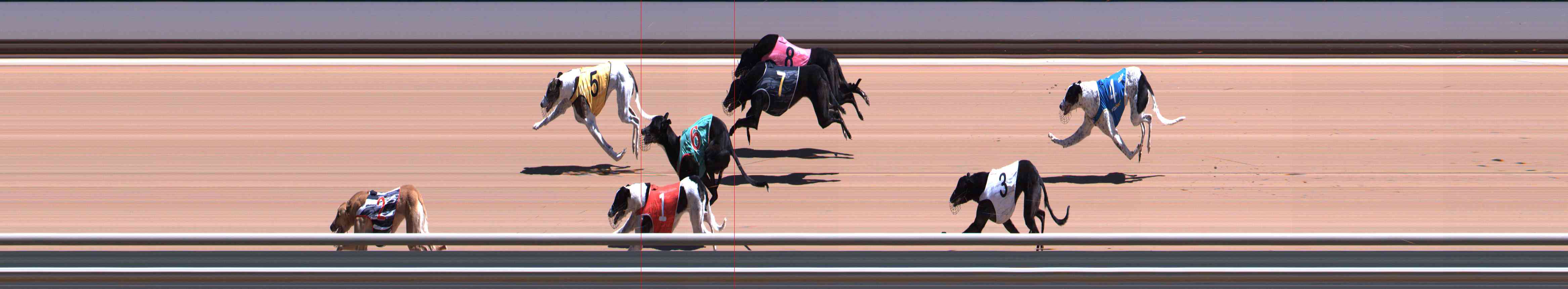 Photo finish for Healesville Race 4