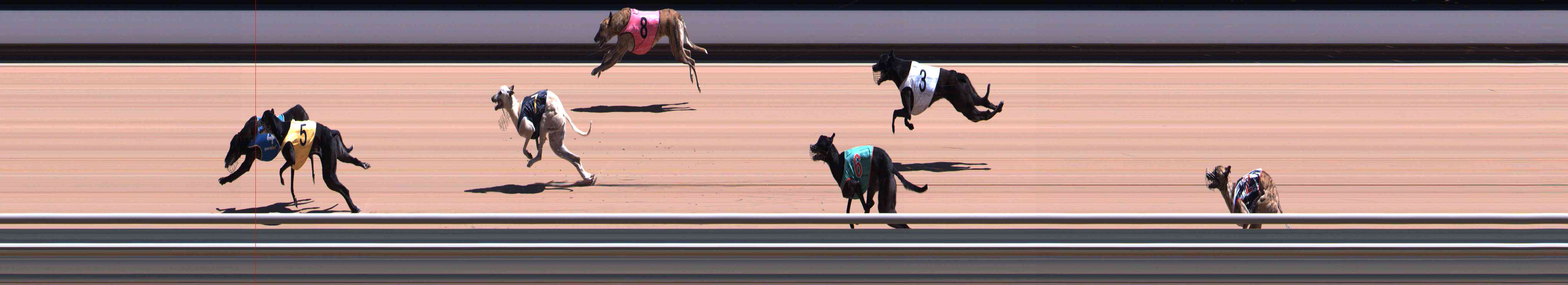 Photo finish for Healesville Race 5