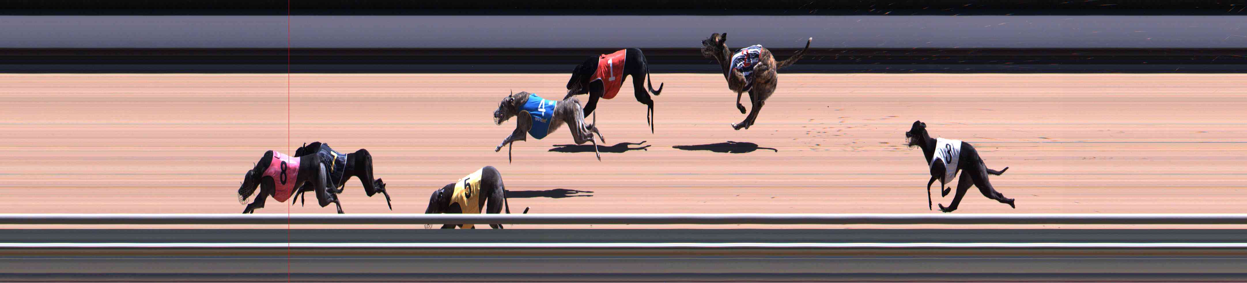 Photo finish for Healesville Race 6