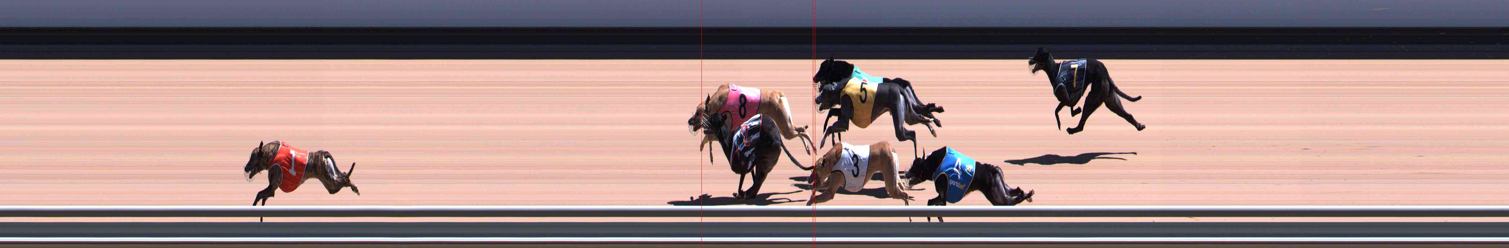 Photo finish for Healesville Race 7