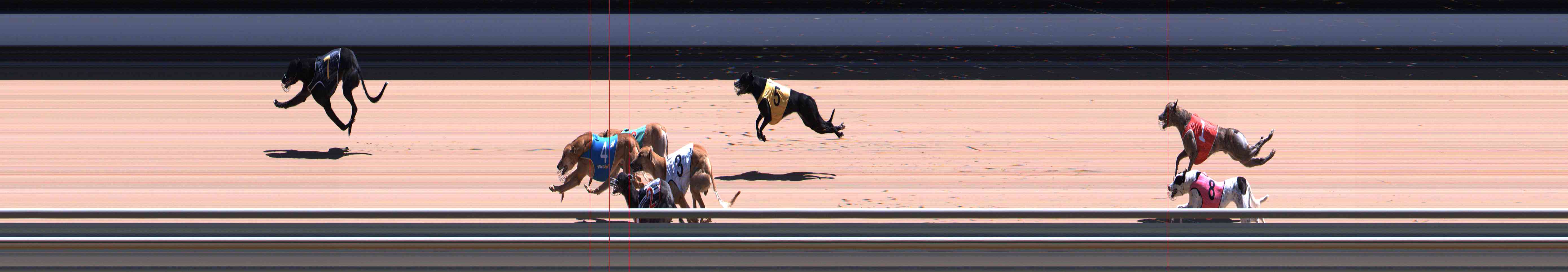 Photo finish for Healesville Race 8