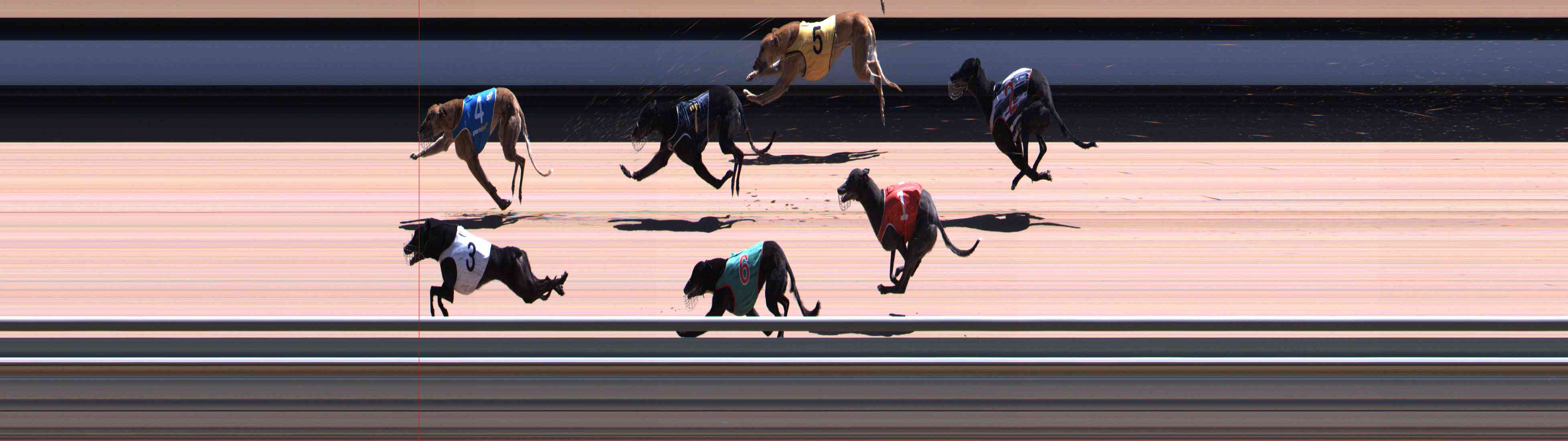 Photo finish for Healesville Race 9