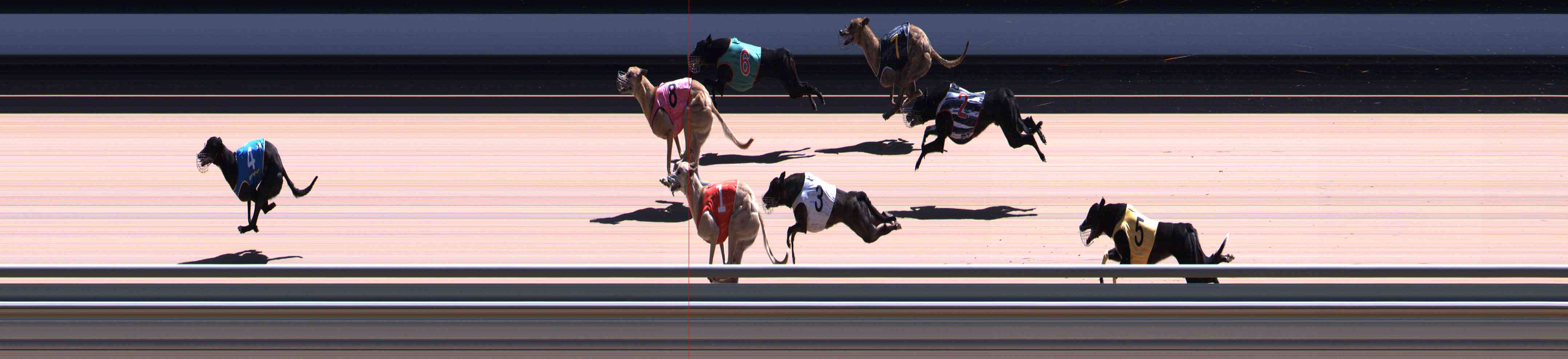 Photo finish for Healesville Race 10