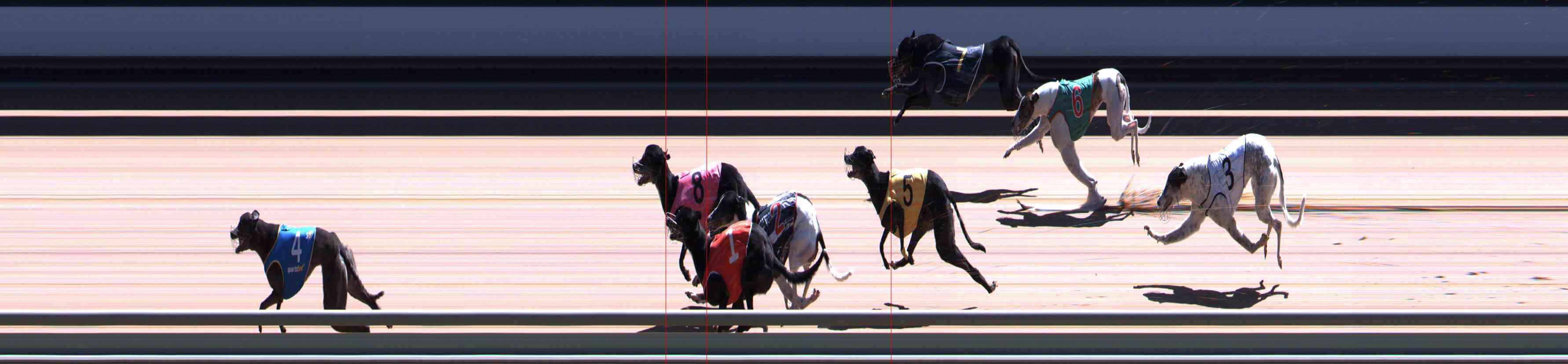 Photo finish for Healesville Race 11