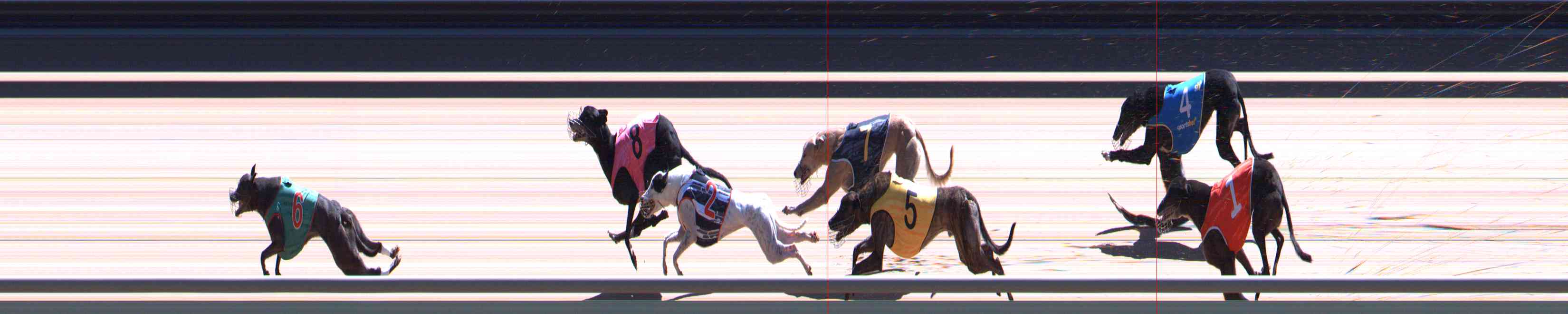Photo finish for Healesville Race 12