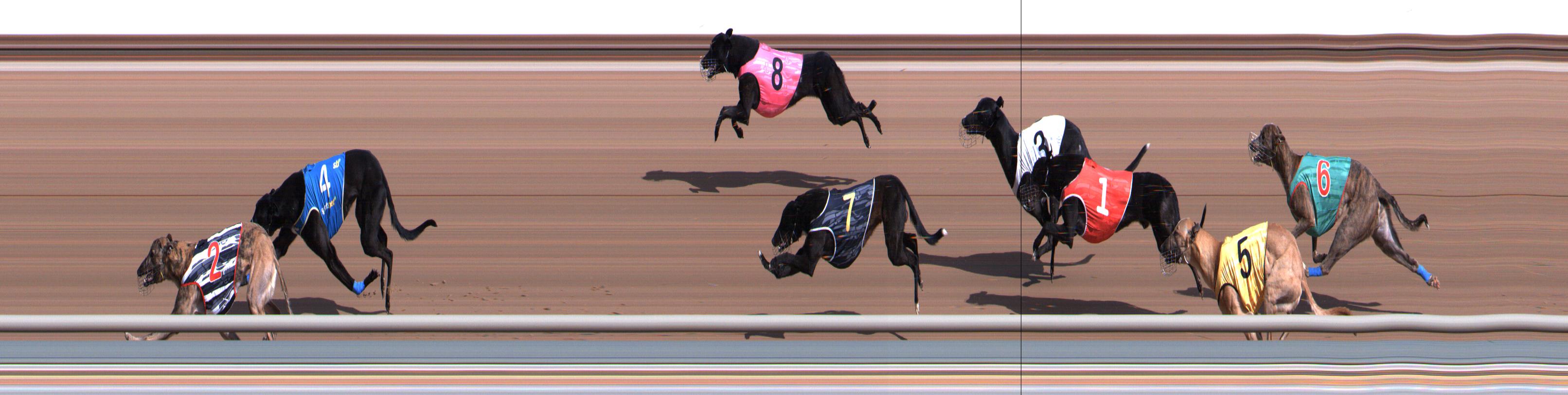 Photo finish for Healesville Race 1