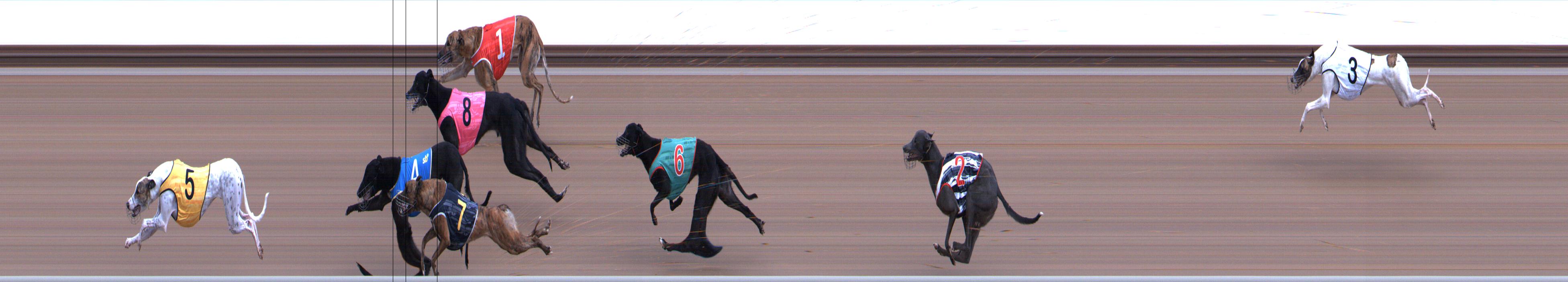 Photo finish for Healesville Race 3