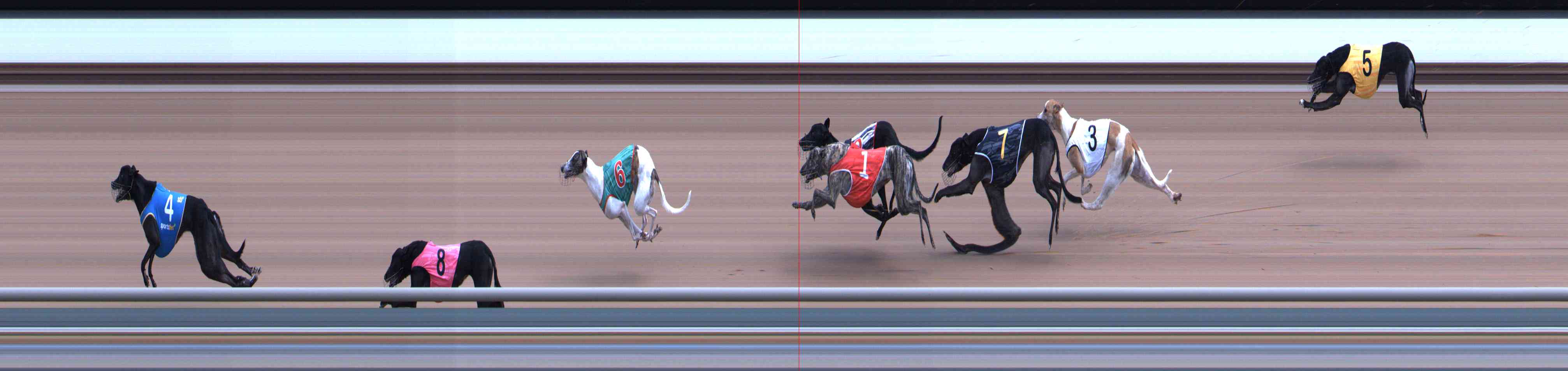 Photo finish for Healesville Race 9