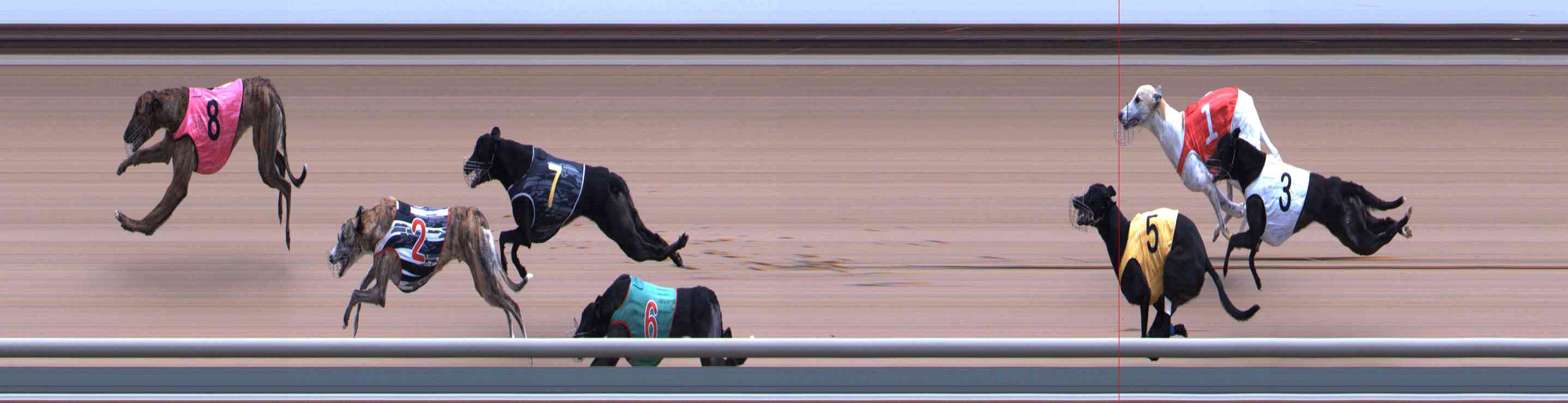Photo finish for Healesville Race 10