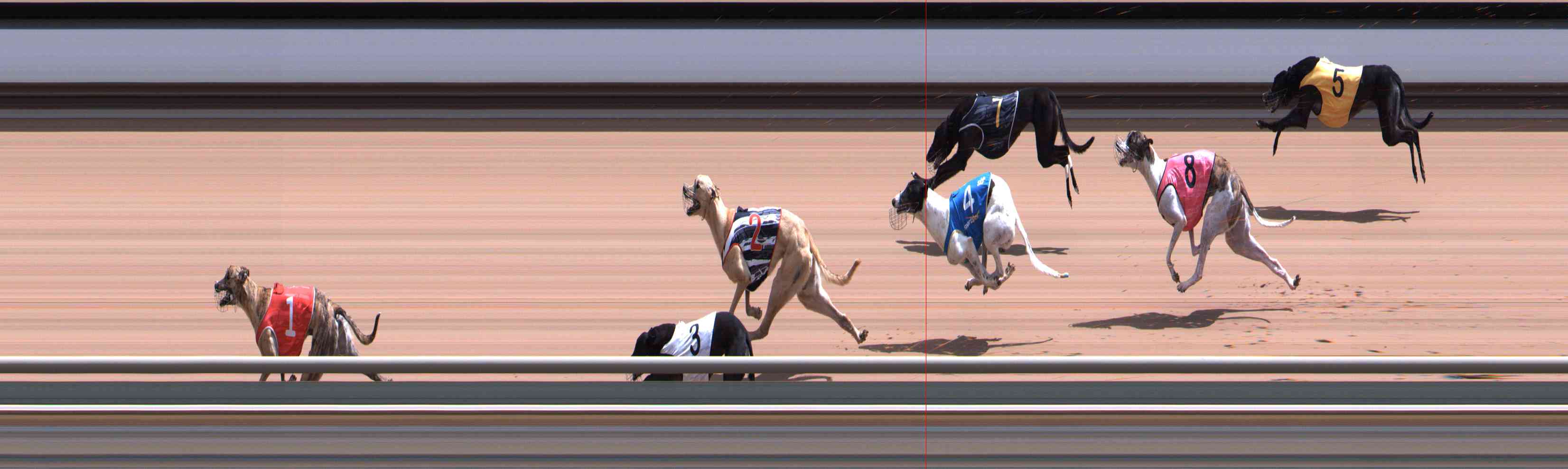 Photo finish for Healesville Race 11