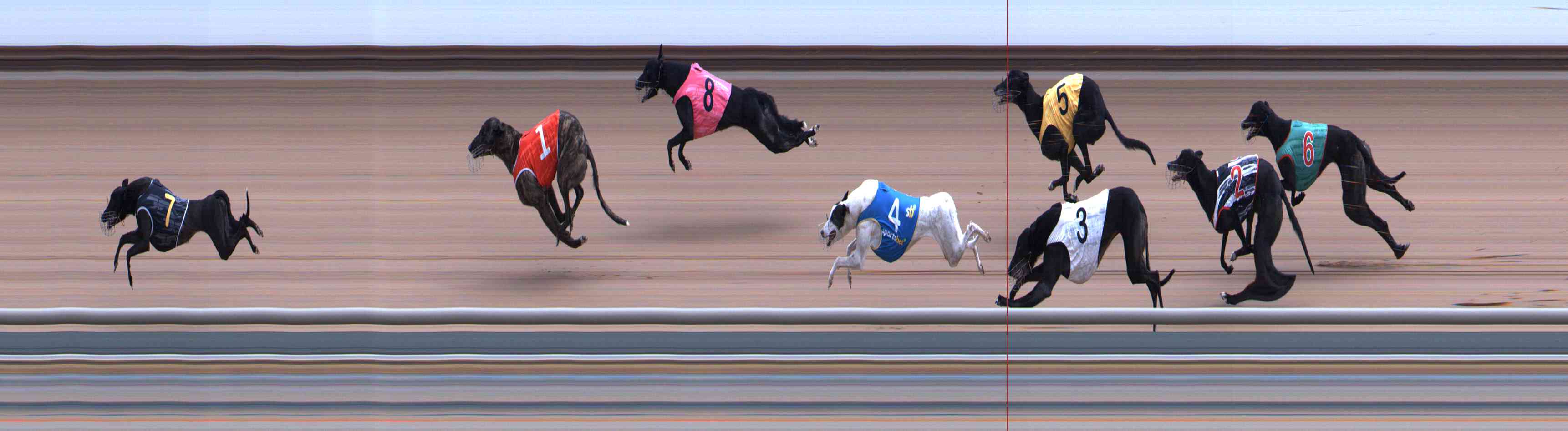 Photo finish for Healesville Race 12
