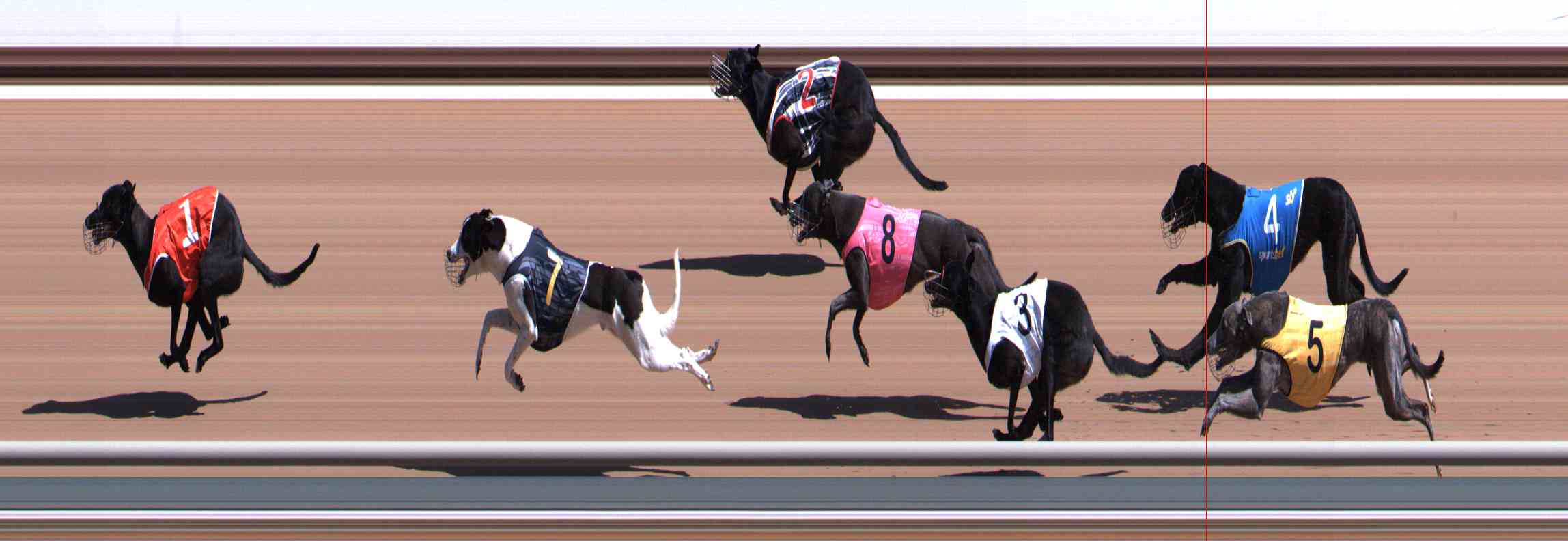 Photo finish for Healesville Race 1