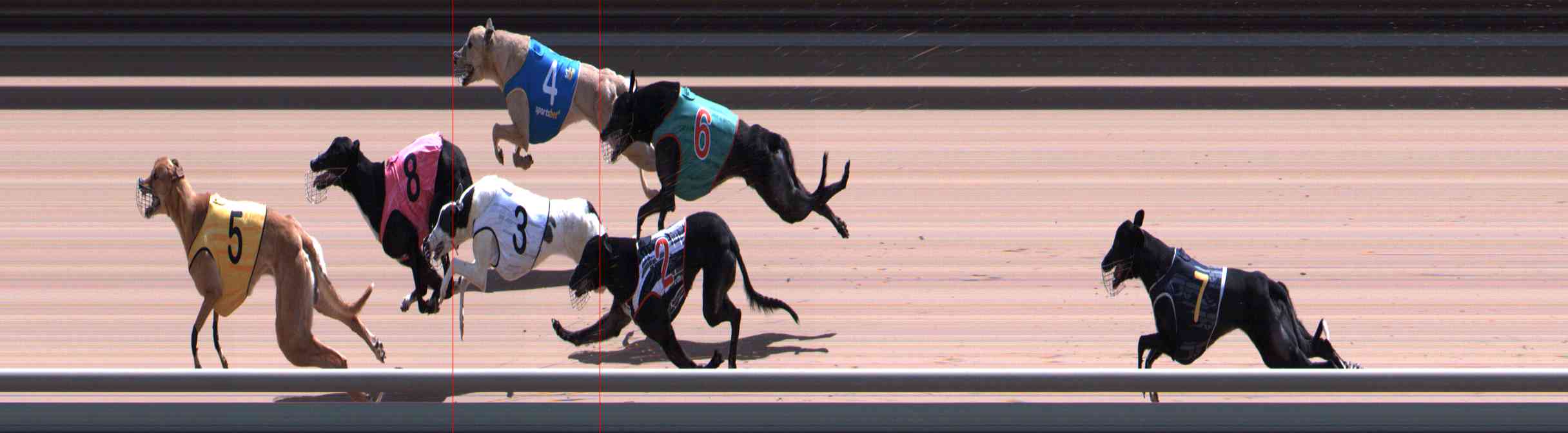 Photo finish for Healesville Race 10