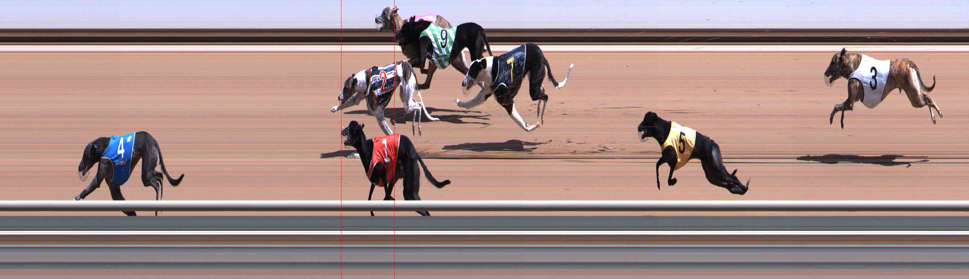 Photo finish for Healesville Race 2