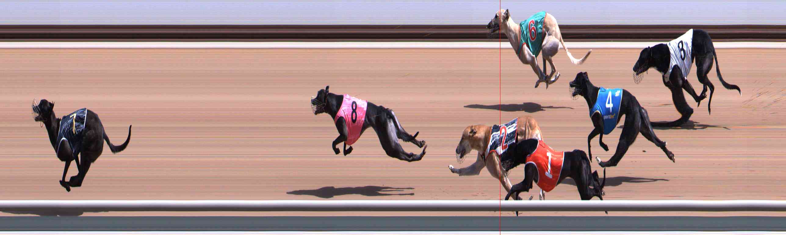 Photo finish for Healesville Race 3