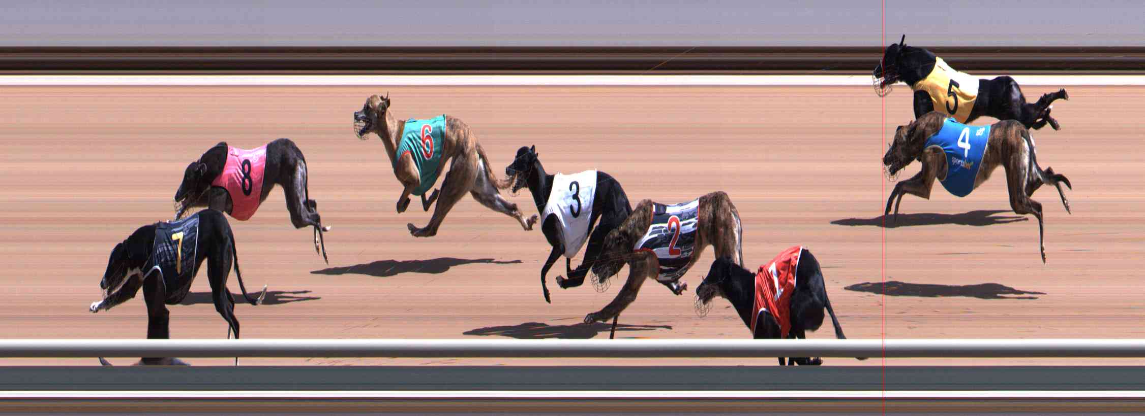 Photo finish for Healesville Race 4