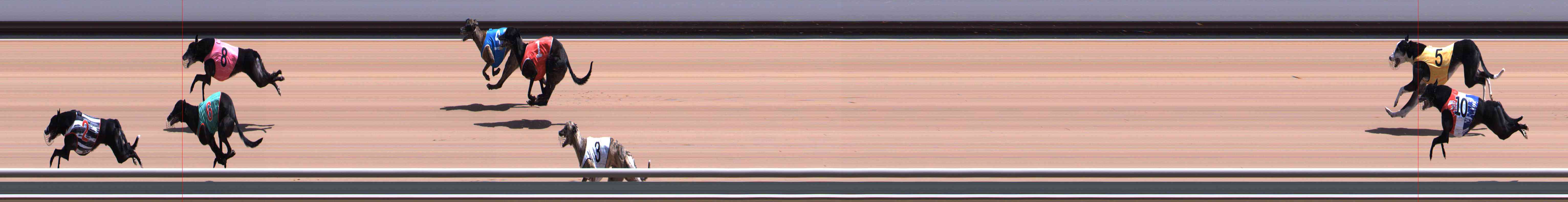 Photo finish for Healesville Race 5