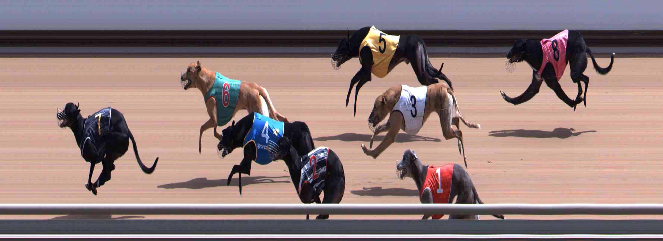Photo finish for Healesville Race 6