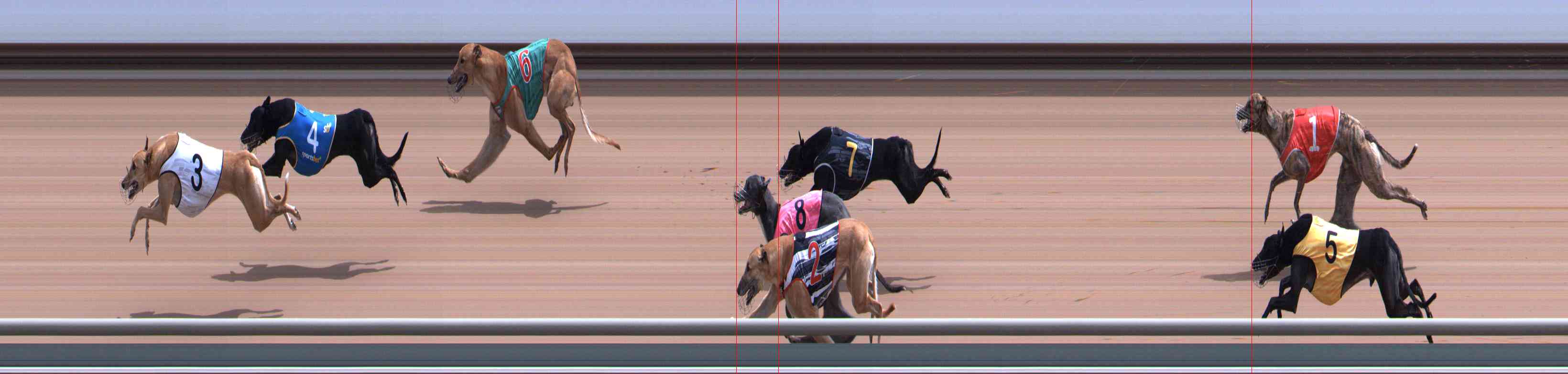 Photo finish for Healesville Race 7