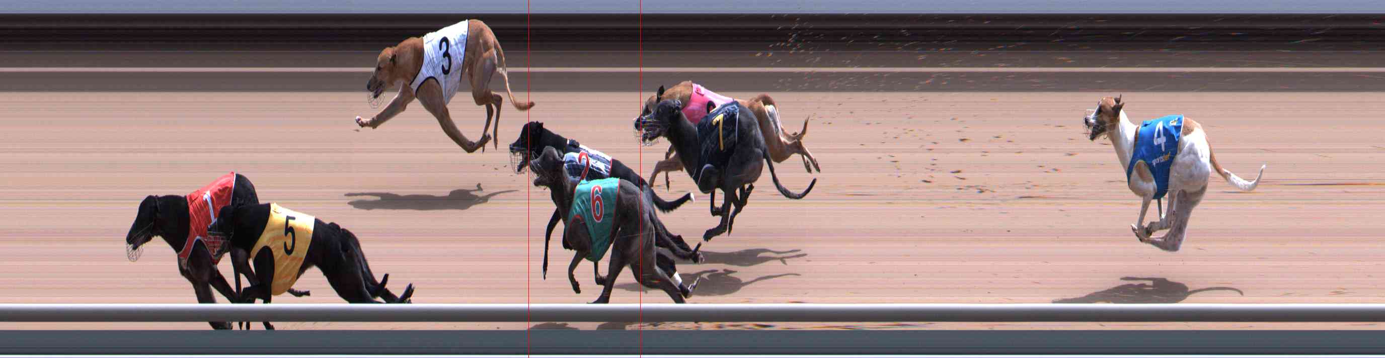 Photo finish for Healesville Race 9