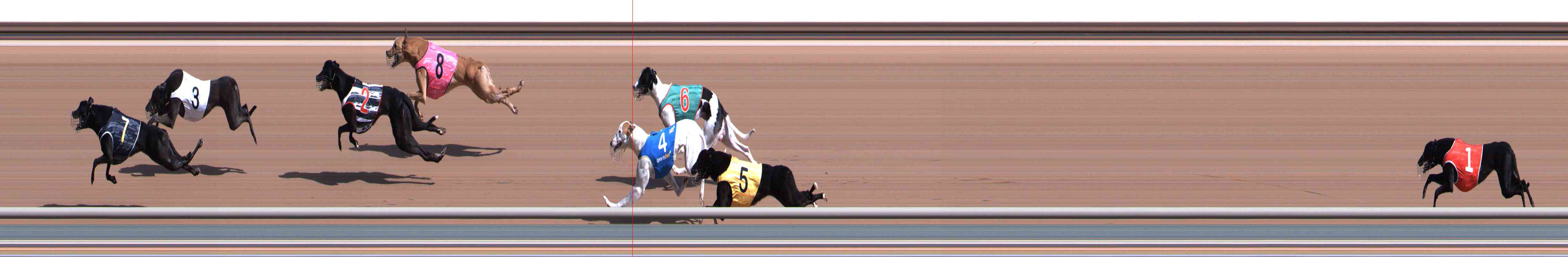 Photo finish for Healesville Race 1