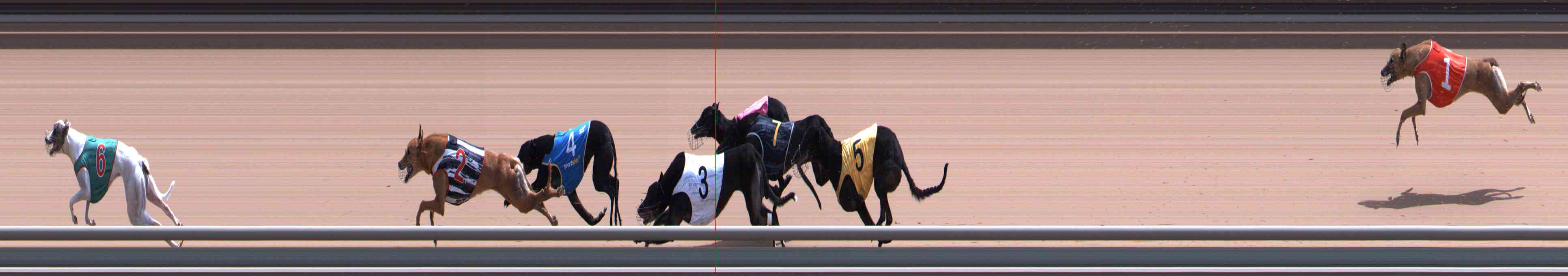 Photo finish for Healesville Race 10
