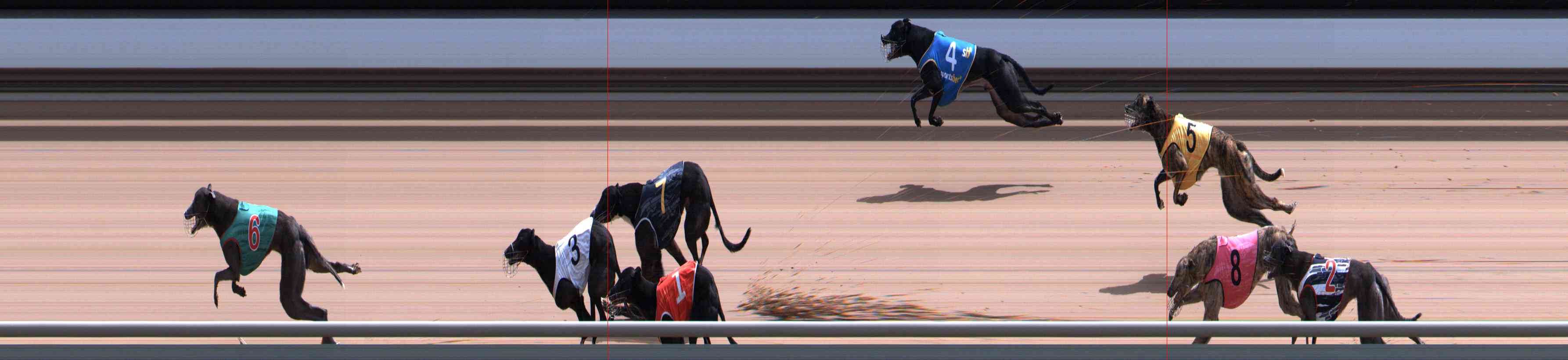 Photo finish for Healesville Race 11