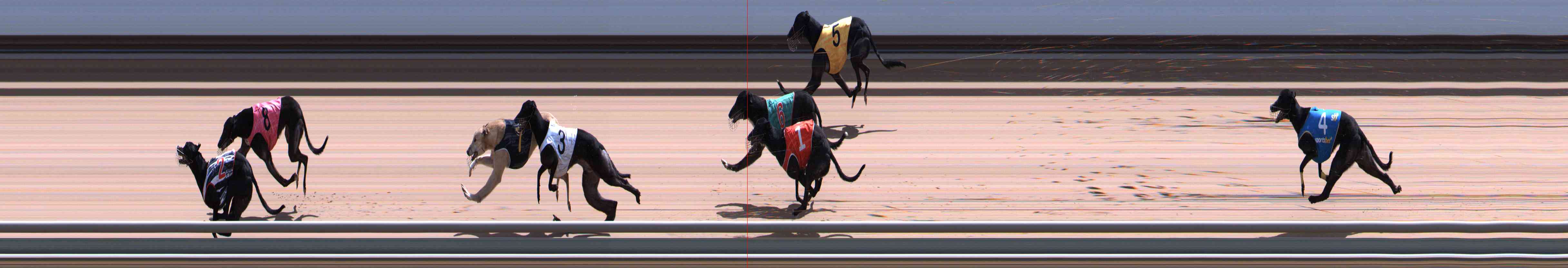Photo finish for Healesville Race 12