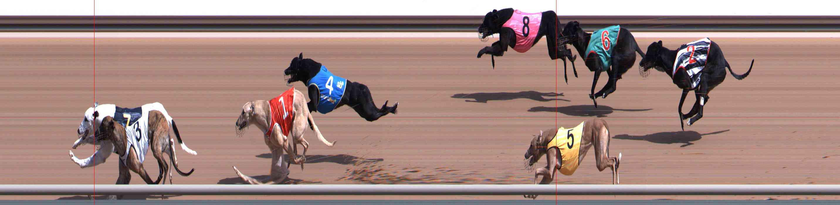 Photo finish for Healesville Race 2