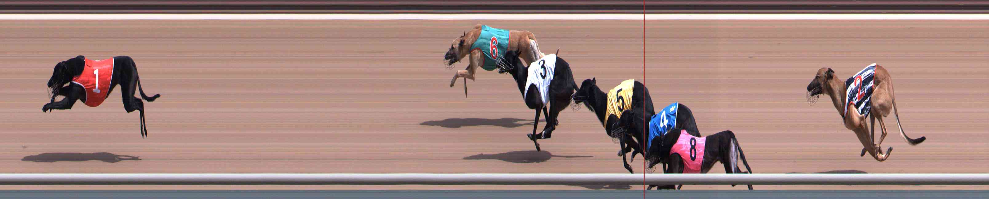 Photo finish for Healesville Race 3