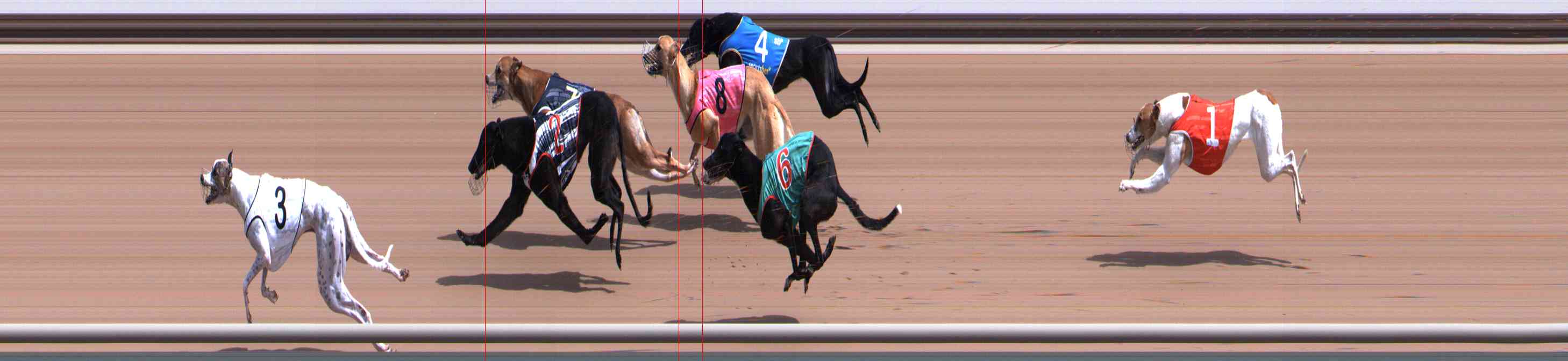 Photo finish for Healesville Race 4