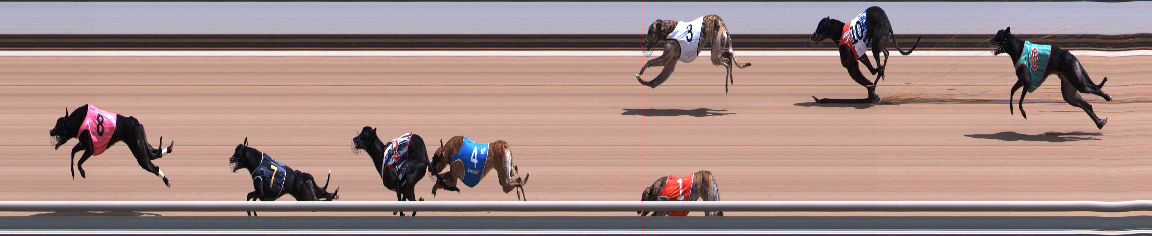 Photo finish for Healesville Race 6