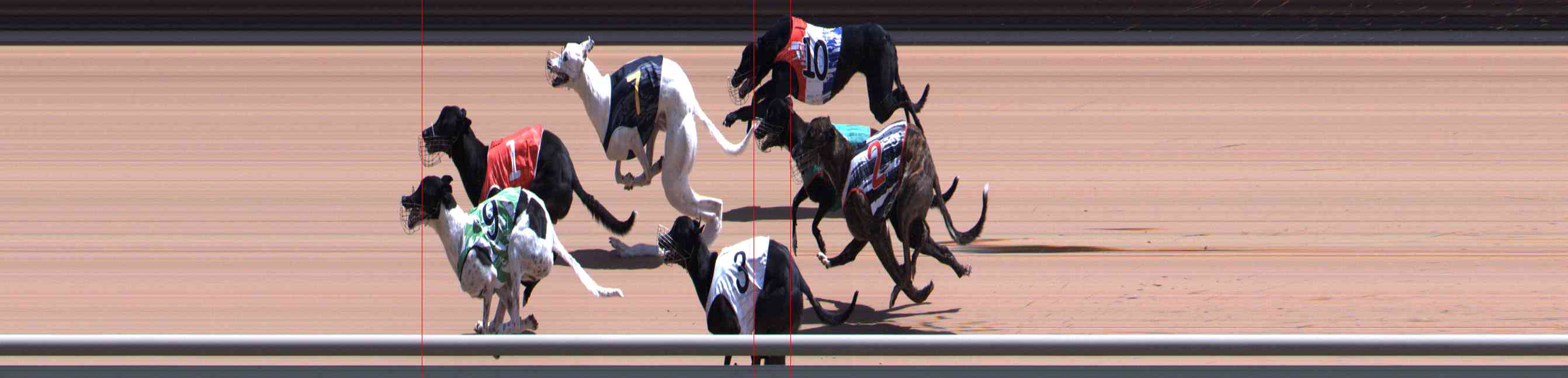 Photo finish for Healesville Race 7