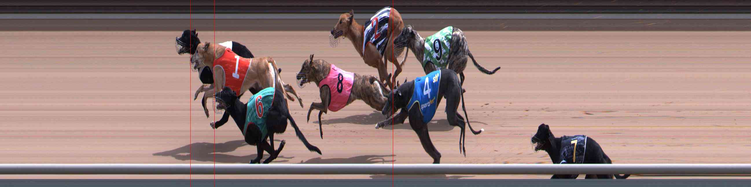 Photo finish for Healesville Race 9
