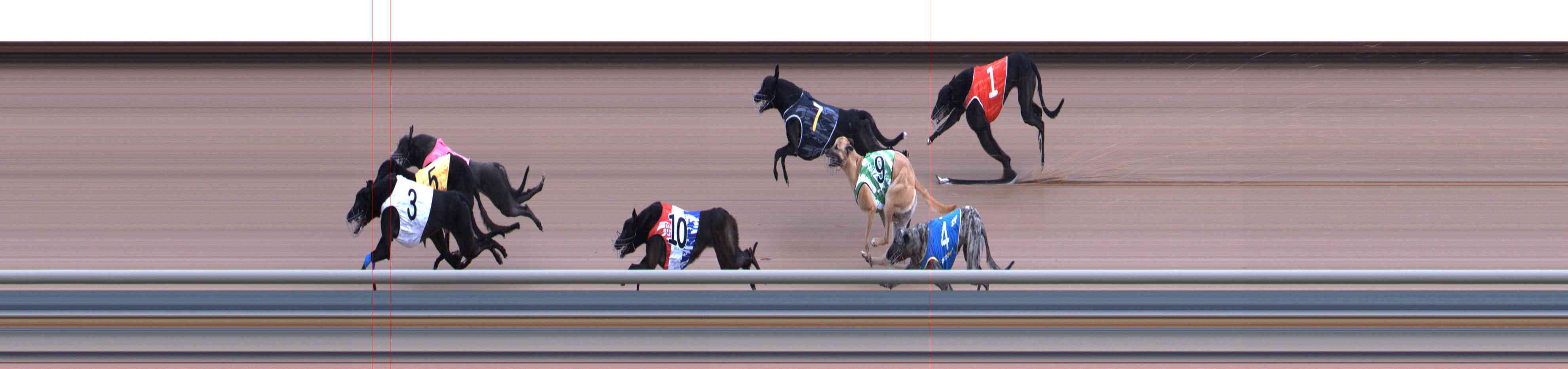 Photo finish for Healesville Race 1