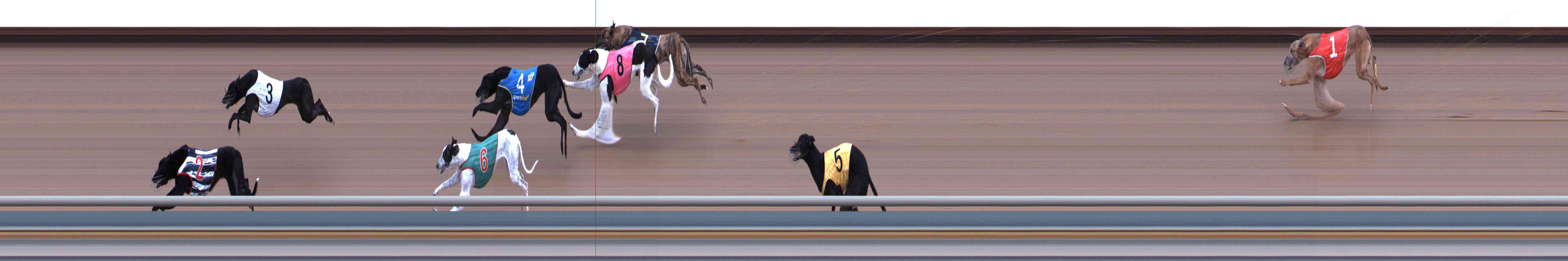 Photo finish for Healesville Race 2