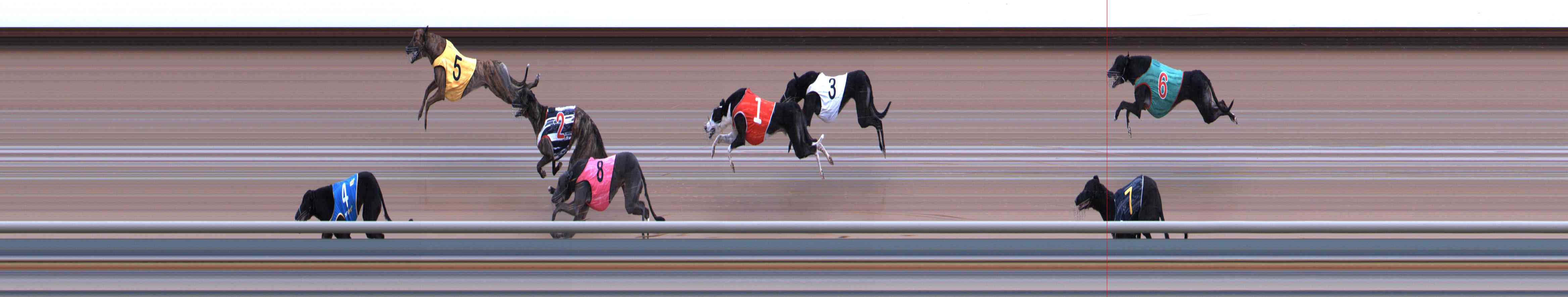 Photo finish for Healesville Race 3