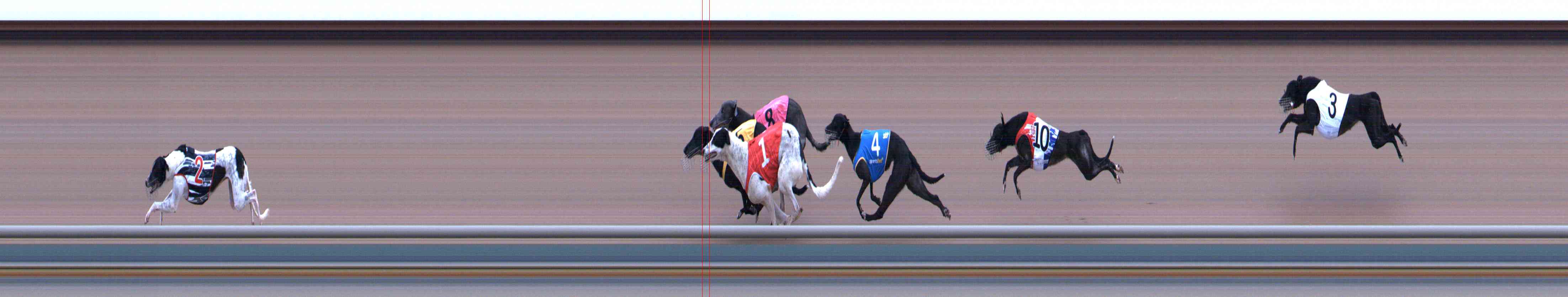 Photo finish for Healesville Race 4