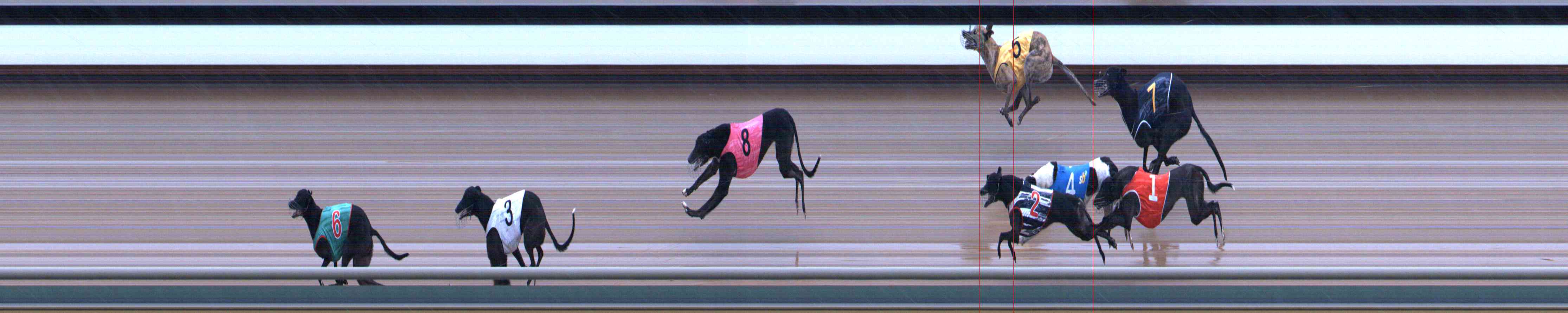 Photo finish for Healesville Race 5