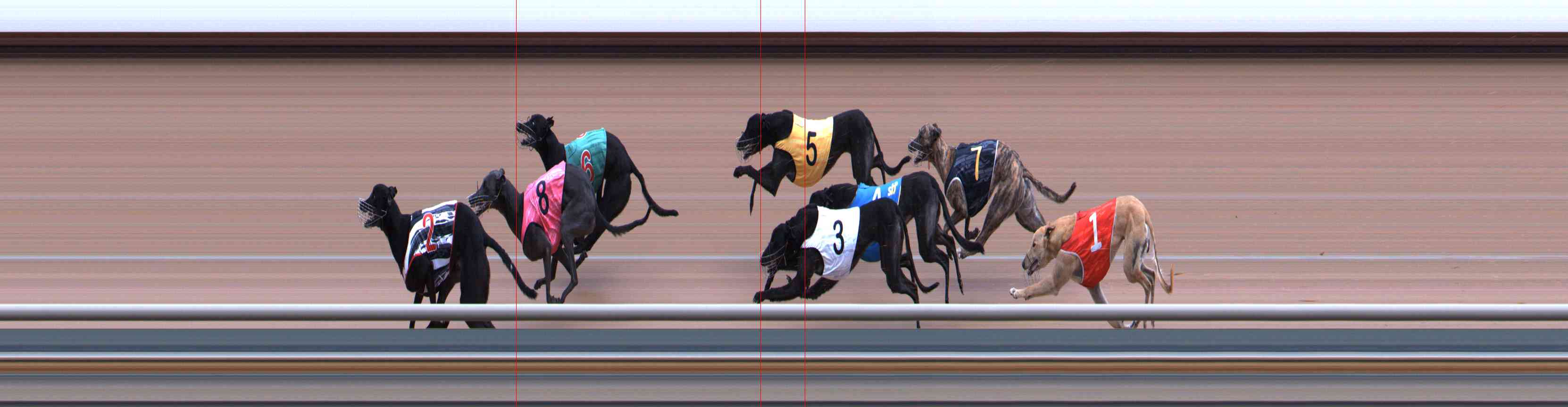 Photo finish for Healesville Race 6