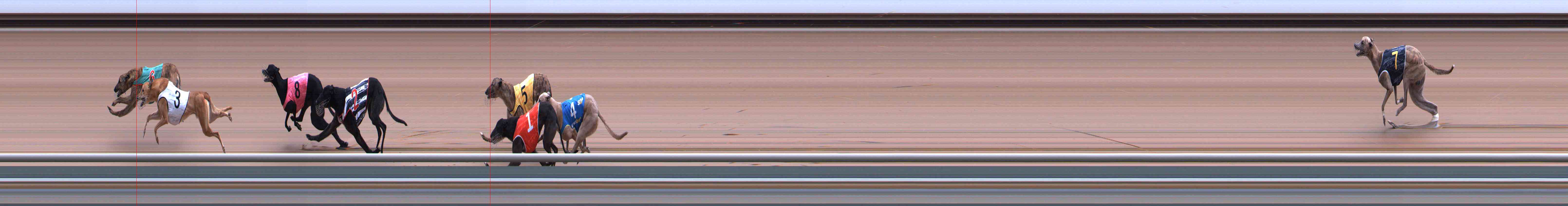 Photo finish for Healesville Race 8
